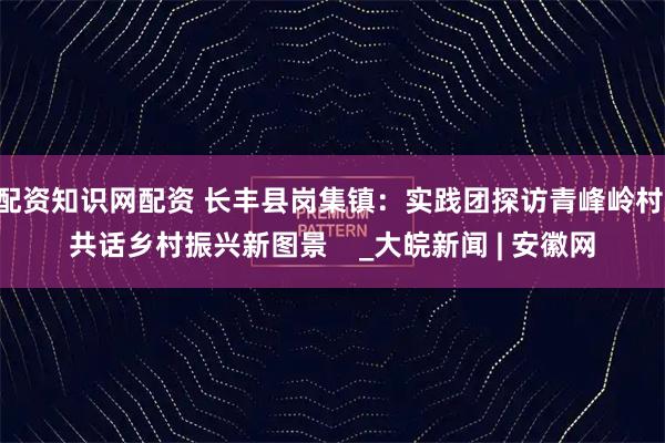 配资知识网配资 长丰县岗集镇：实践团探访青峰岭村 共话乡村振兴新图景    _大皖新闻 | 安徽网
